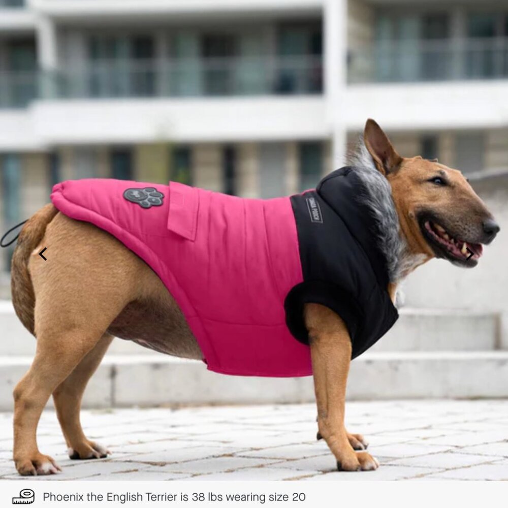 Canada Pooch Pink True North Parka
